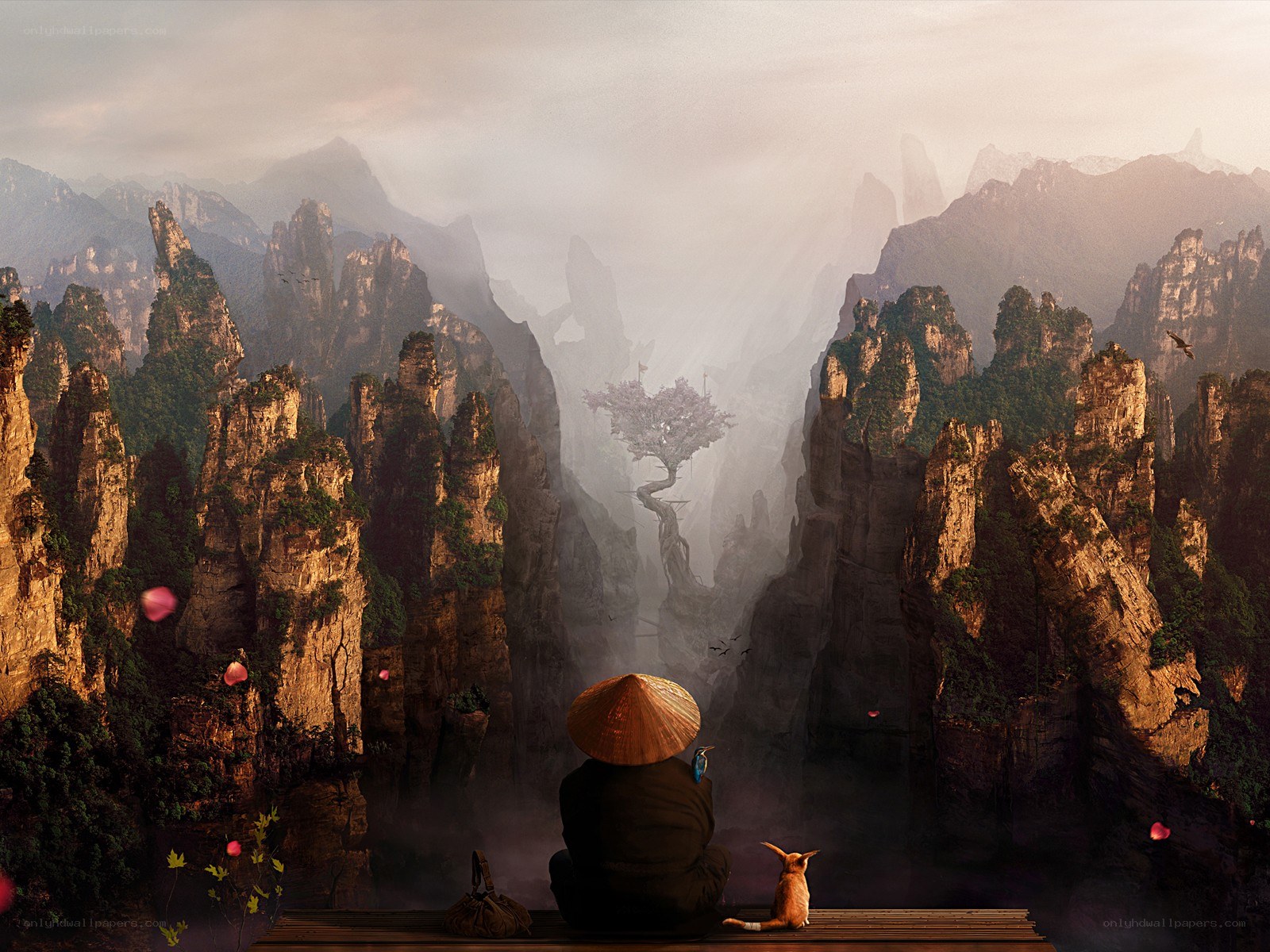 Monk and cat in mountain valley