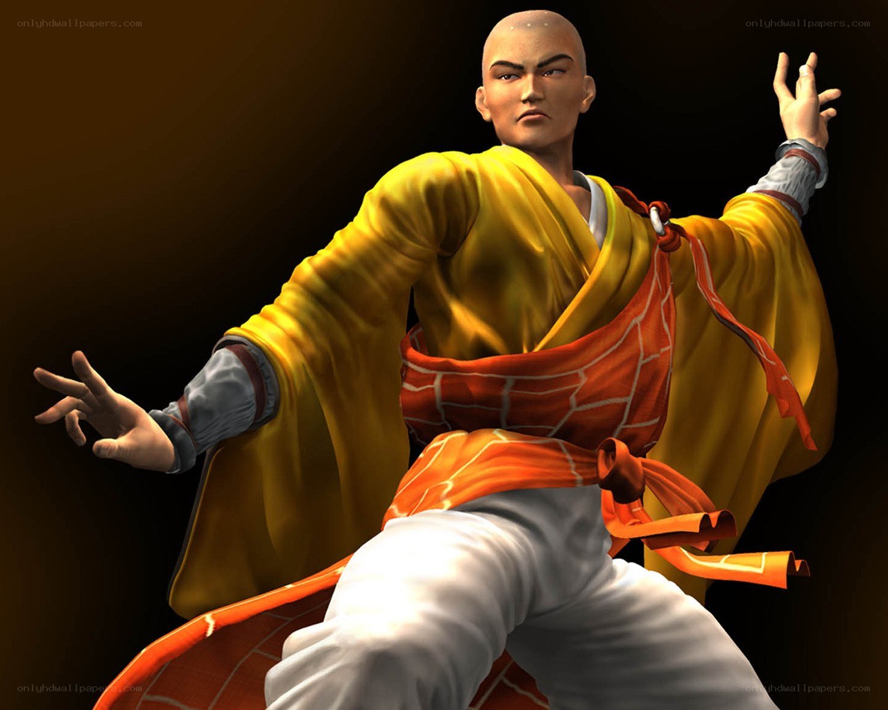 monk in yellow robe