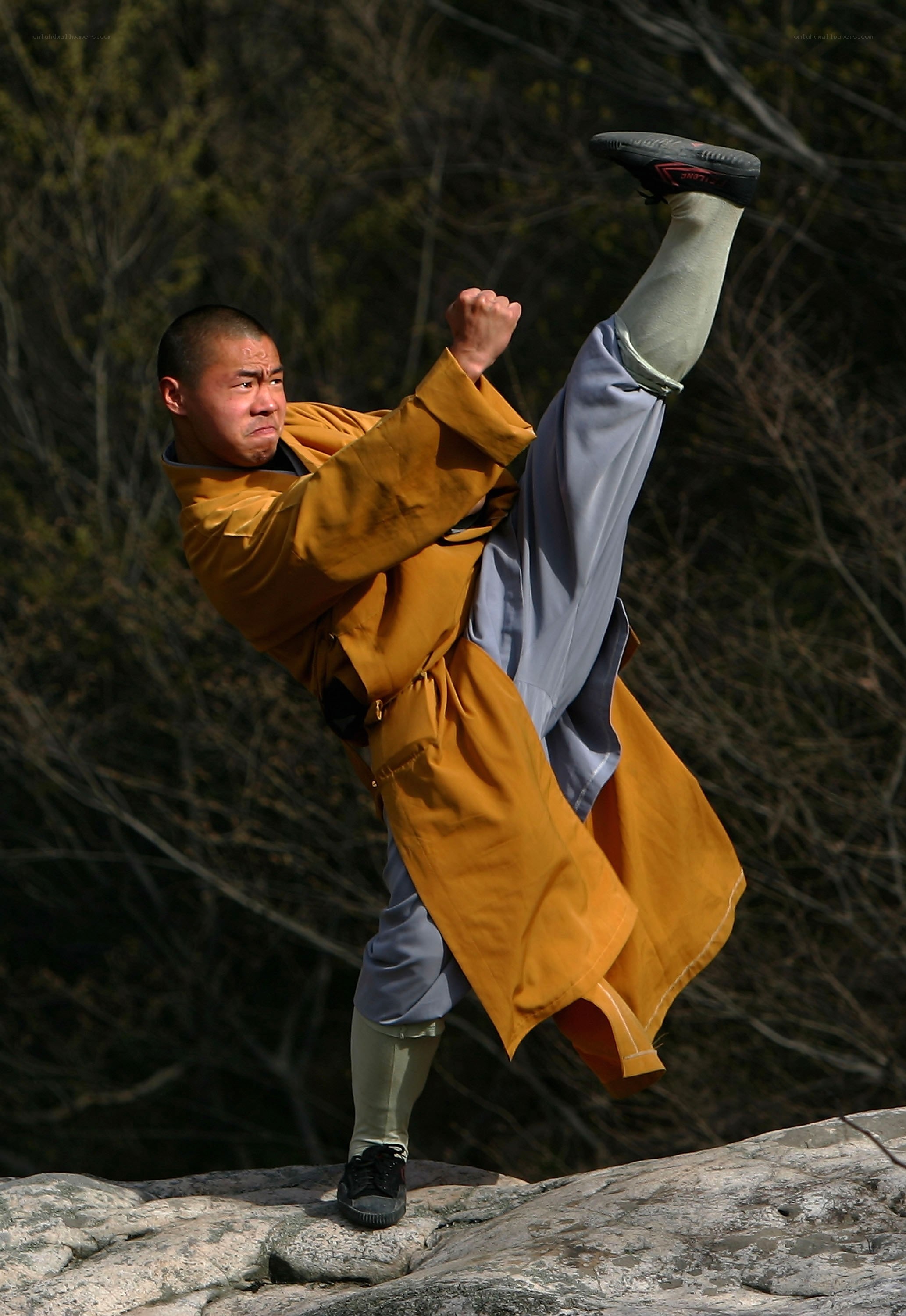Monk performing high kick