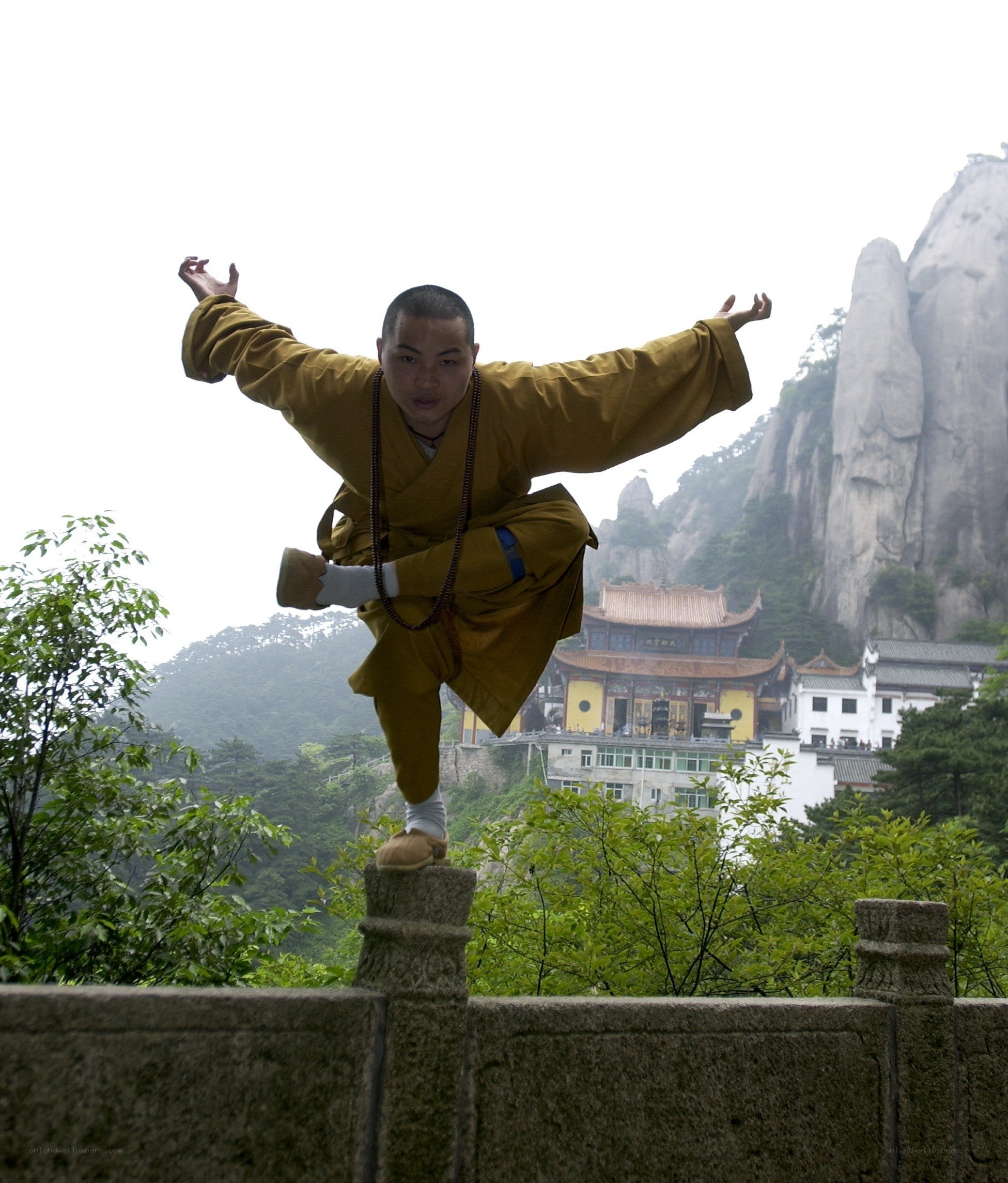 Monk performing martial arts on mountain