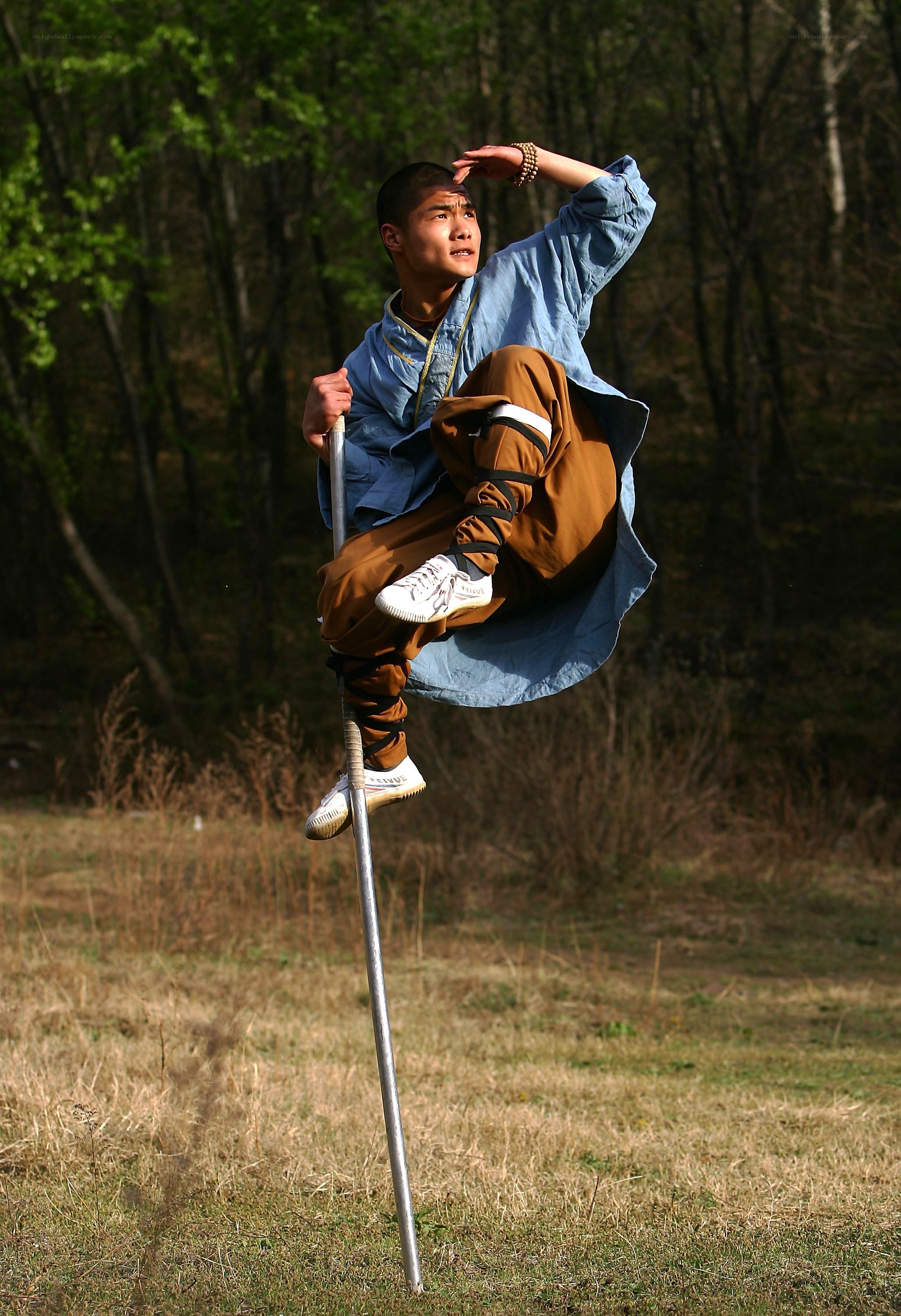 Monk performing martial arts on pole