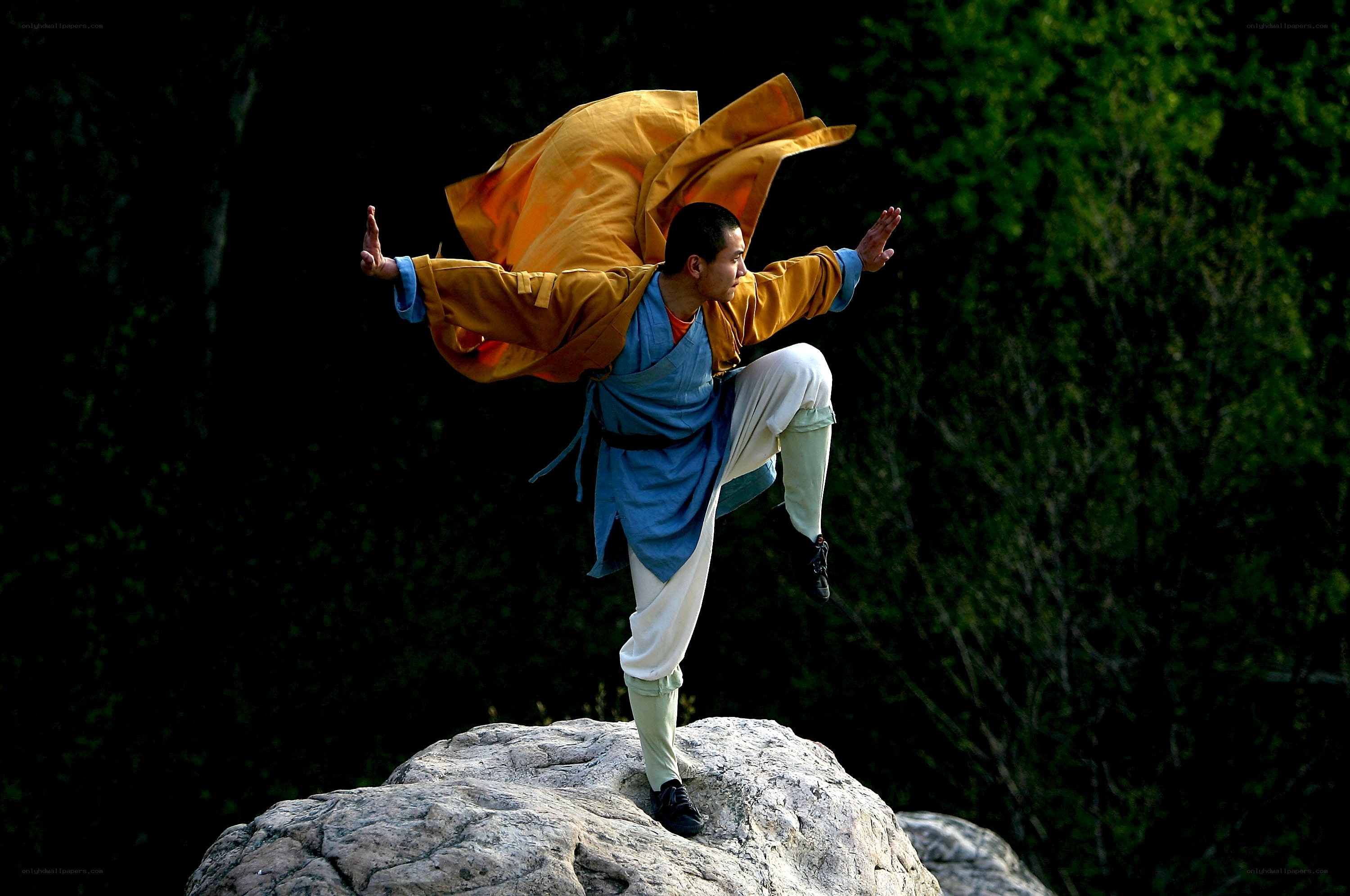Monk performing martial arts on rock