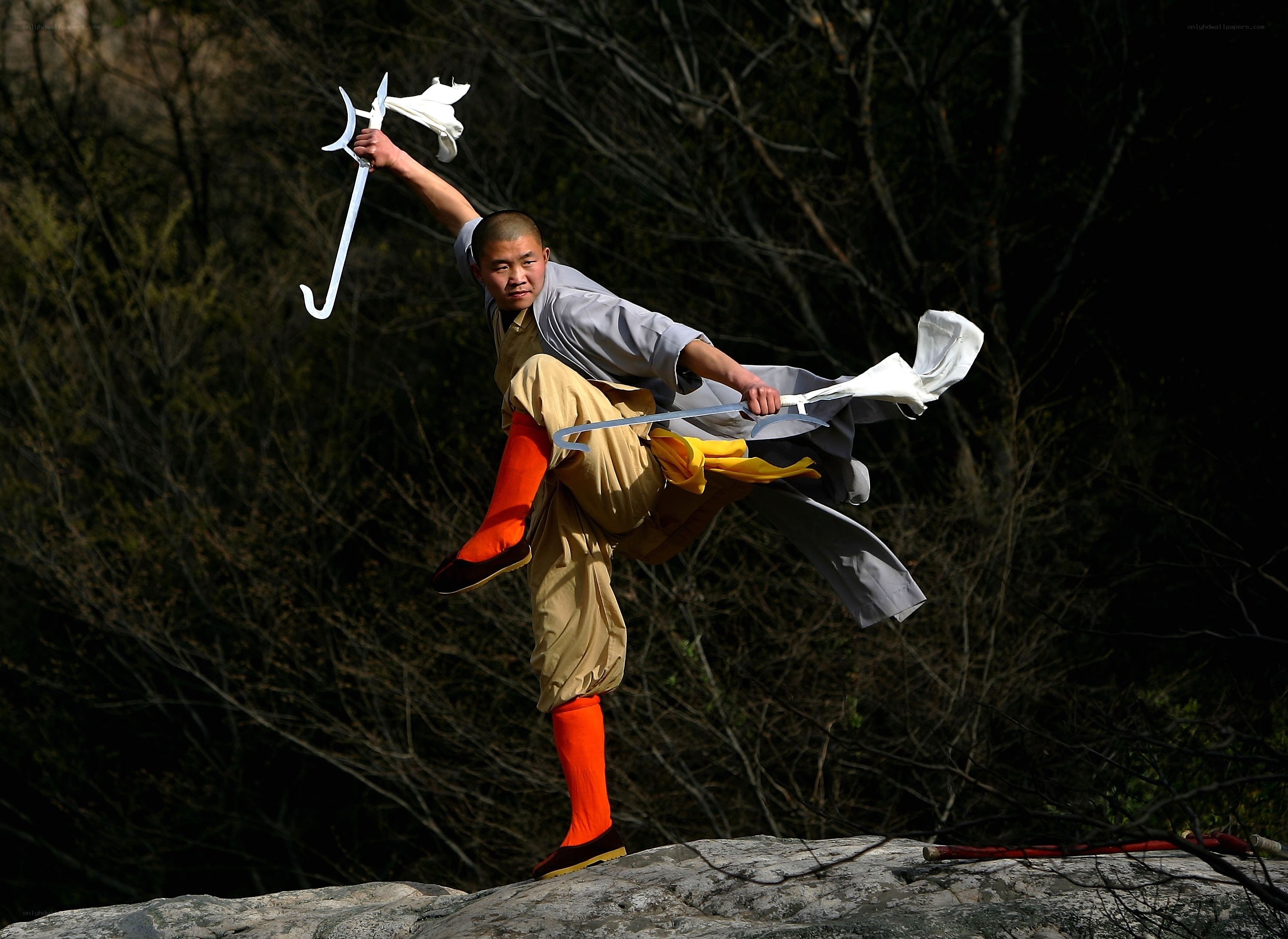 Monk performing martial arts