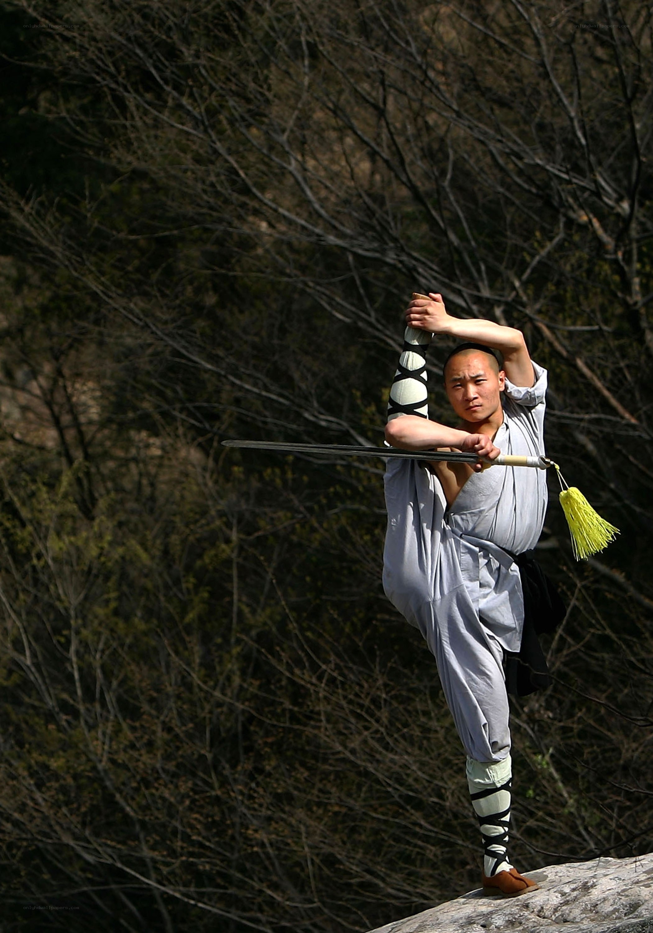 Monk practicing martial arts