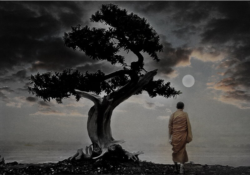Monk Standing by Tree