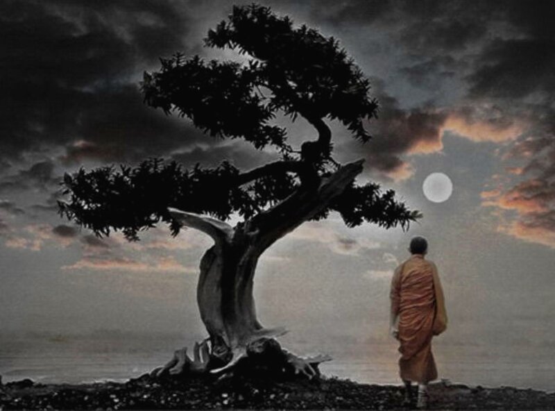Monk under Moonlight