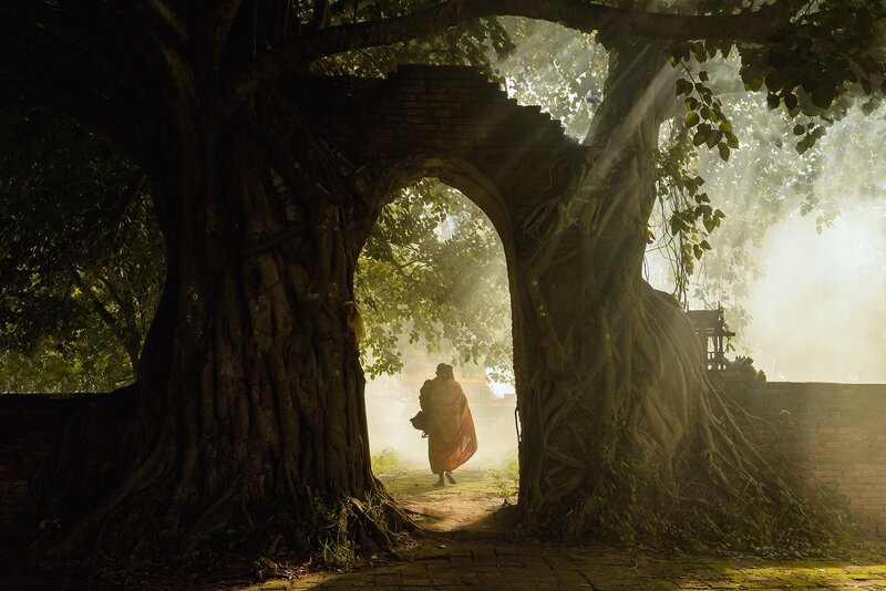 Monk Walking Through Archway