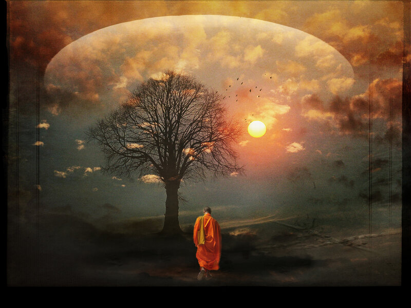 Monk Walking Toward Tree