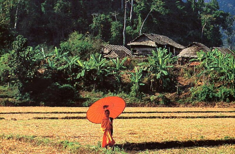 Monk with Orange Umbrella