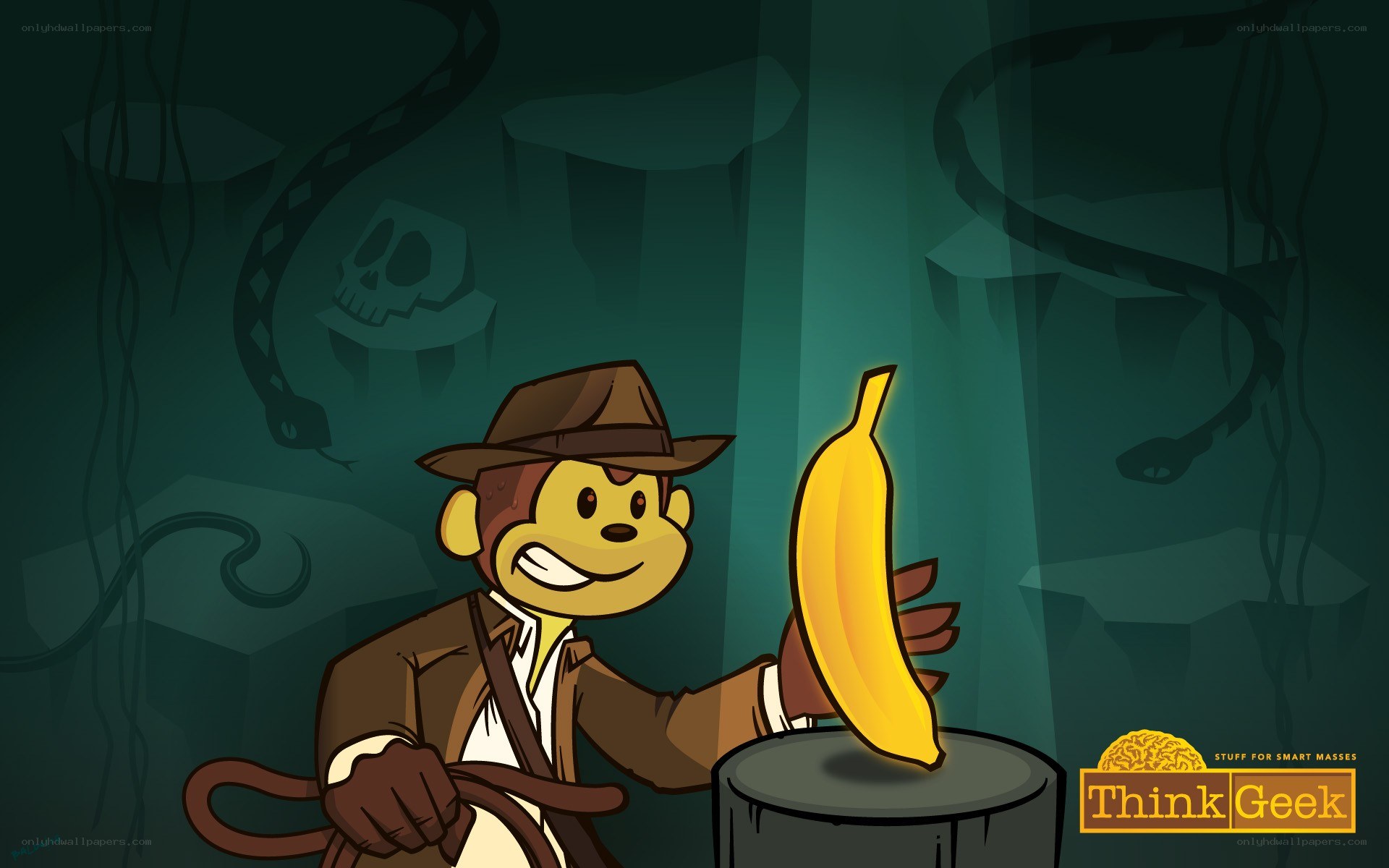 Monkey adventurer with banana