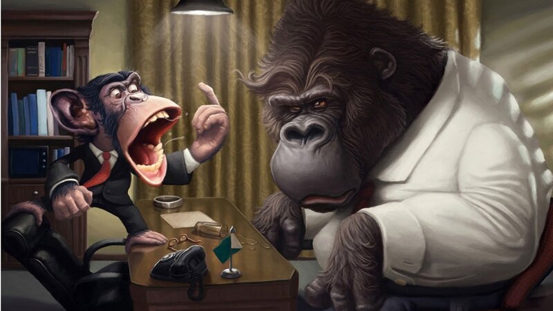 Monkey and gorilla in office