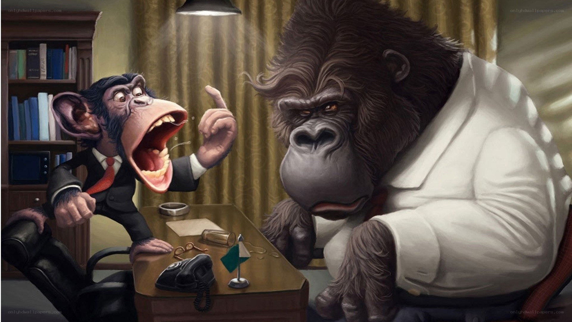 Monkey and gorilla in office