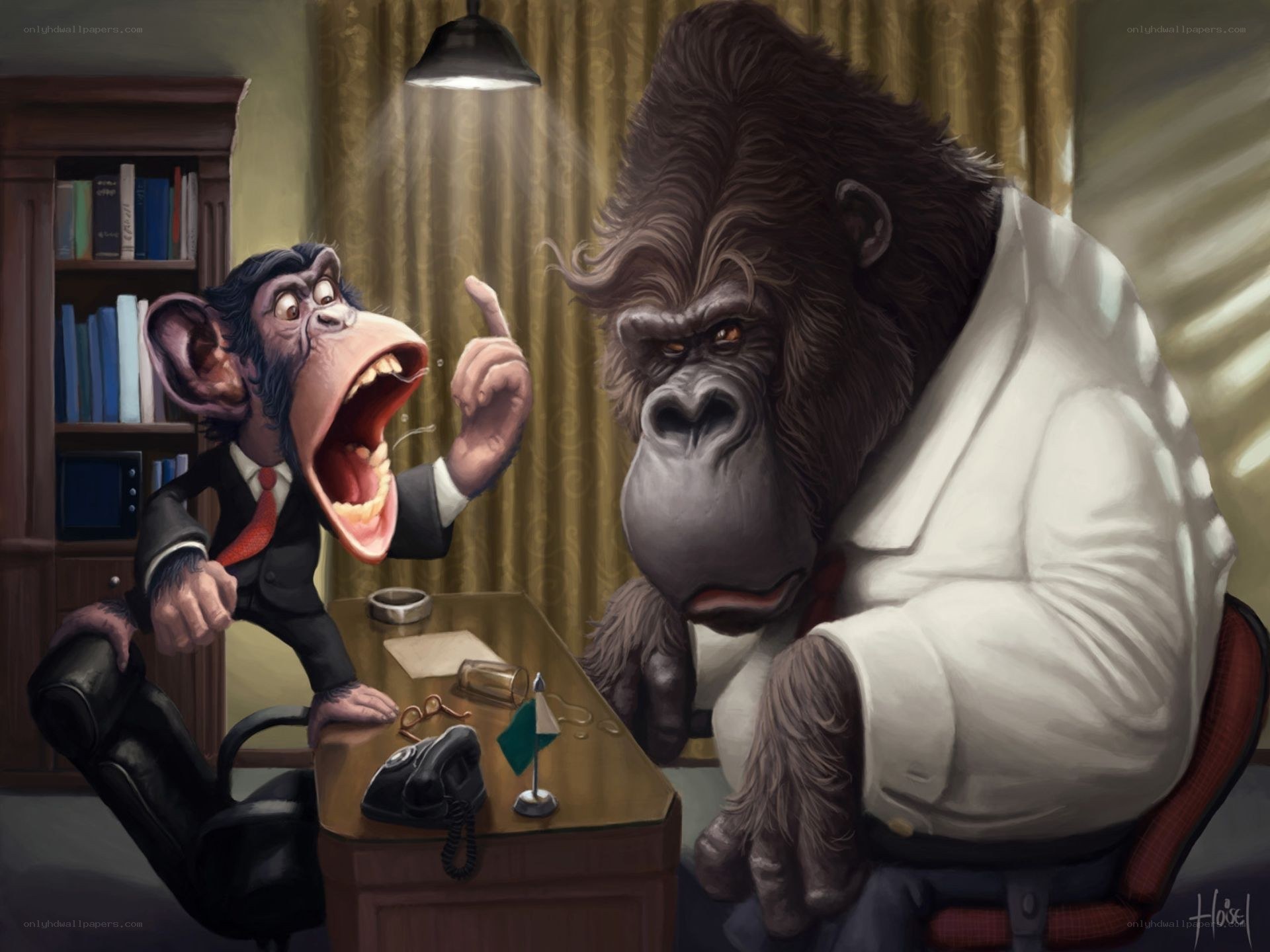 Monkey and gorilla in office