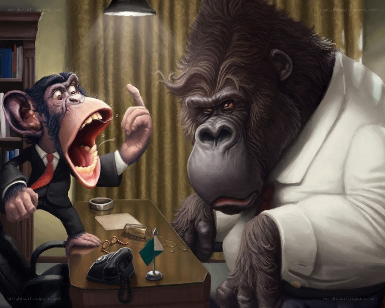 Monkey and gorilla in office