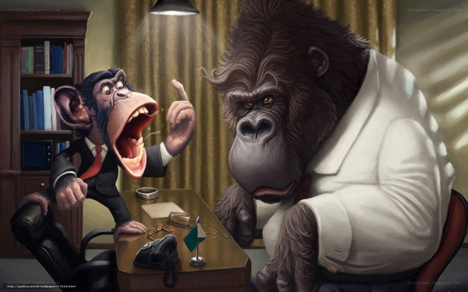 Monkey and gorilla in office