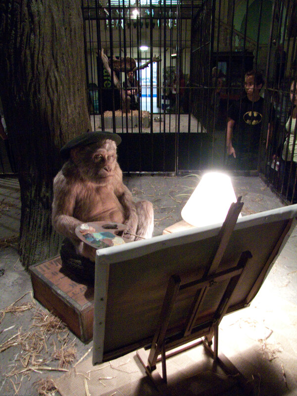 monkey artist in cage