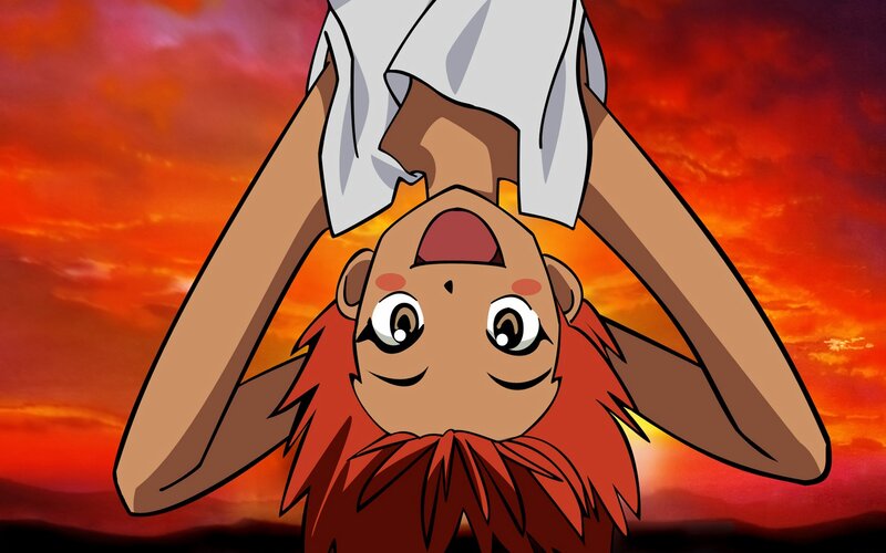 Monkey Character in Sunset