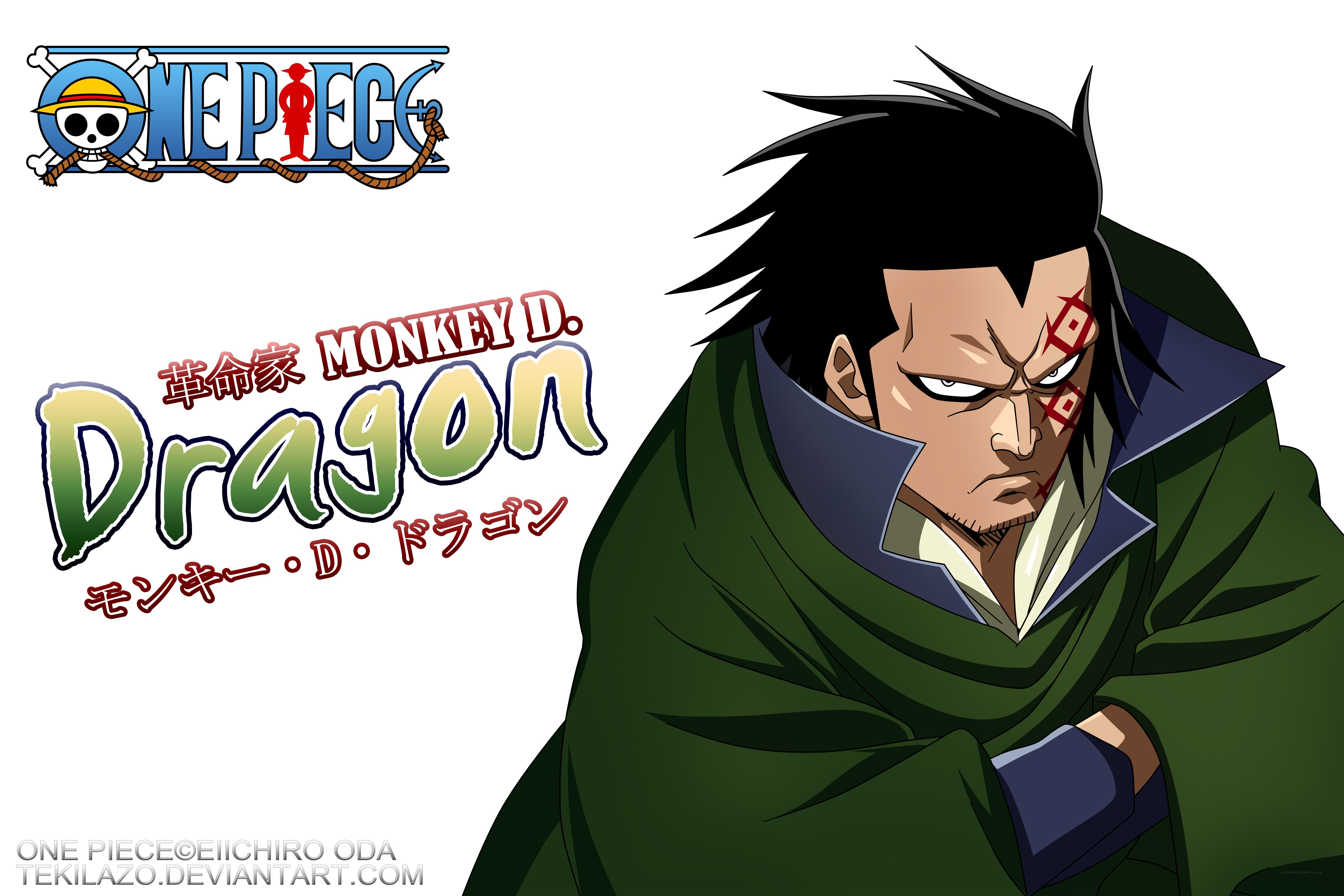 Monkey D. Dragon from One Piece