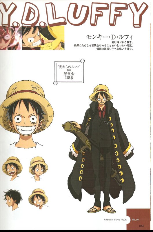 Monkey D. Luffy — Yellow, Determined