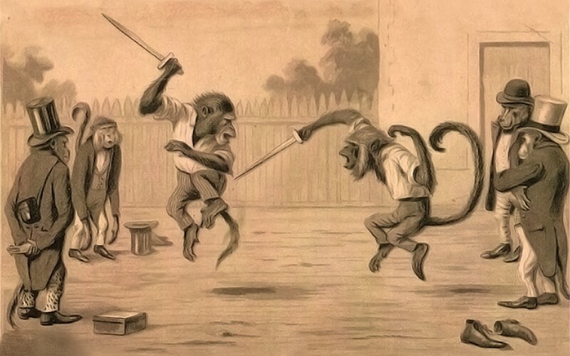 Monkey Duel in Top Hats