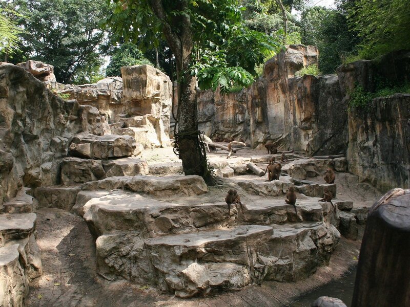 Monkey enclosure at zoo