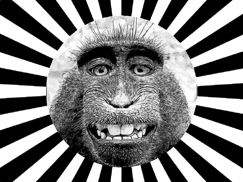 Monkey Face