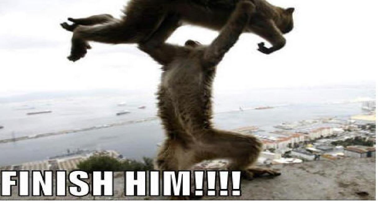 Monkey fight meme