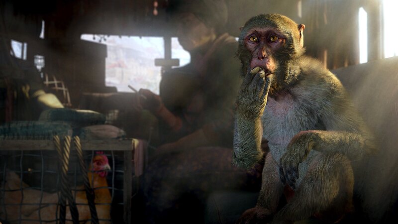 Monkey in a Cage — Brown