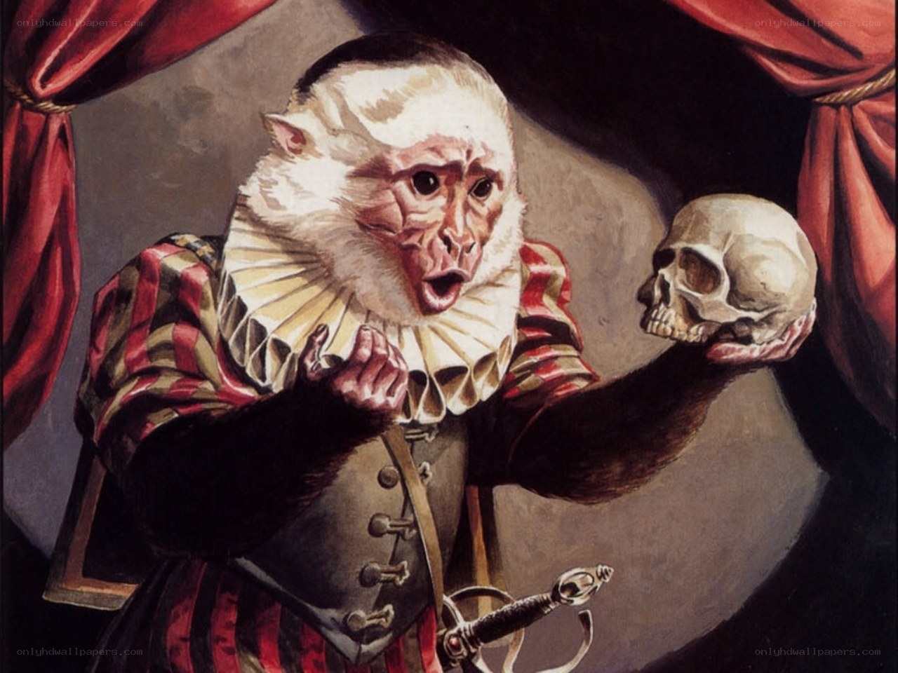 Monkey in a jester costume