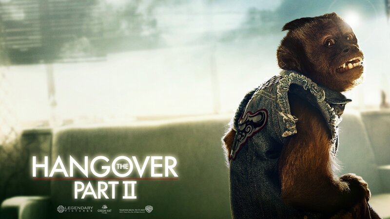 Monkey in Denim Vest