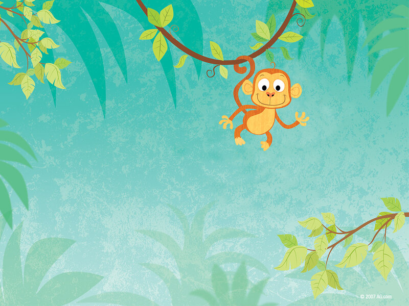 monkey in jungle background