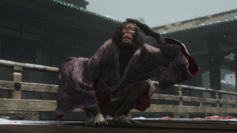 Monkey in Kimono