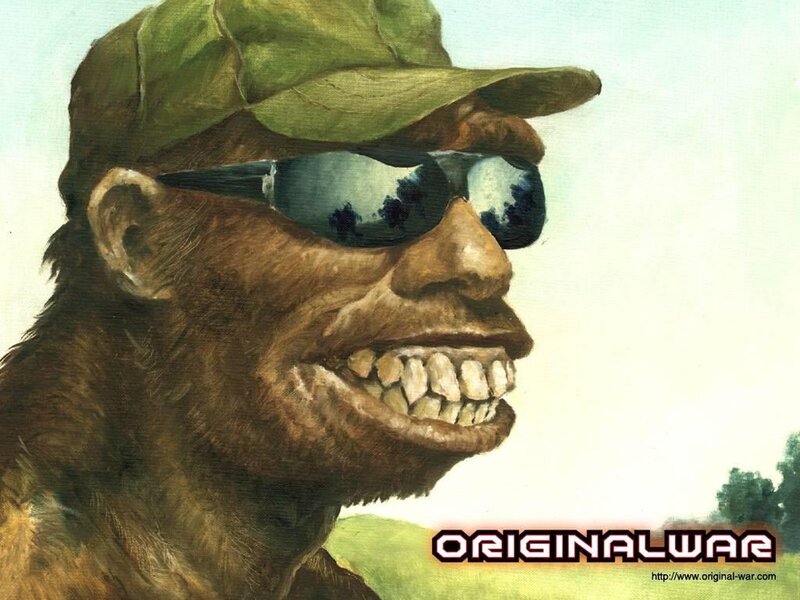 monkey in sunglasses and cap
