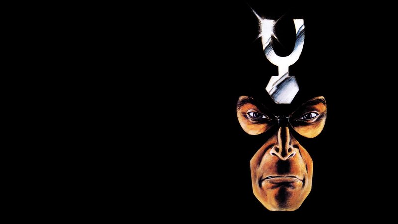 Monkey-like Character Face