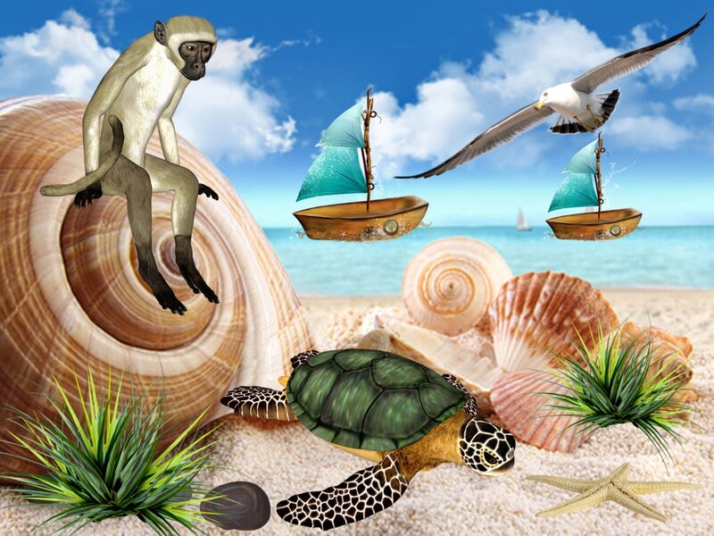 Monkey on Seashell