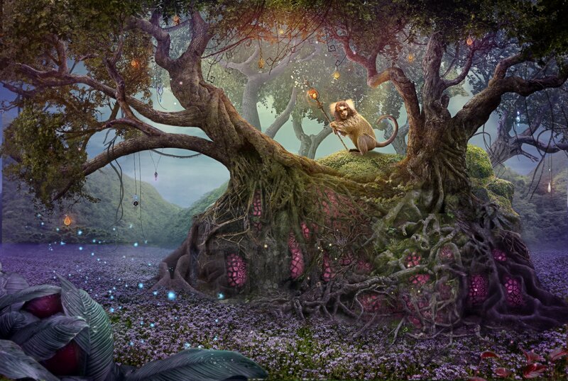Monkey on Tree Root