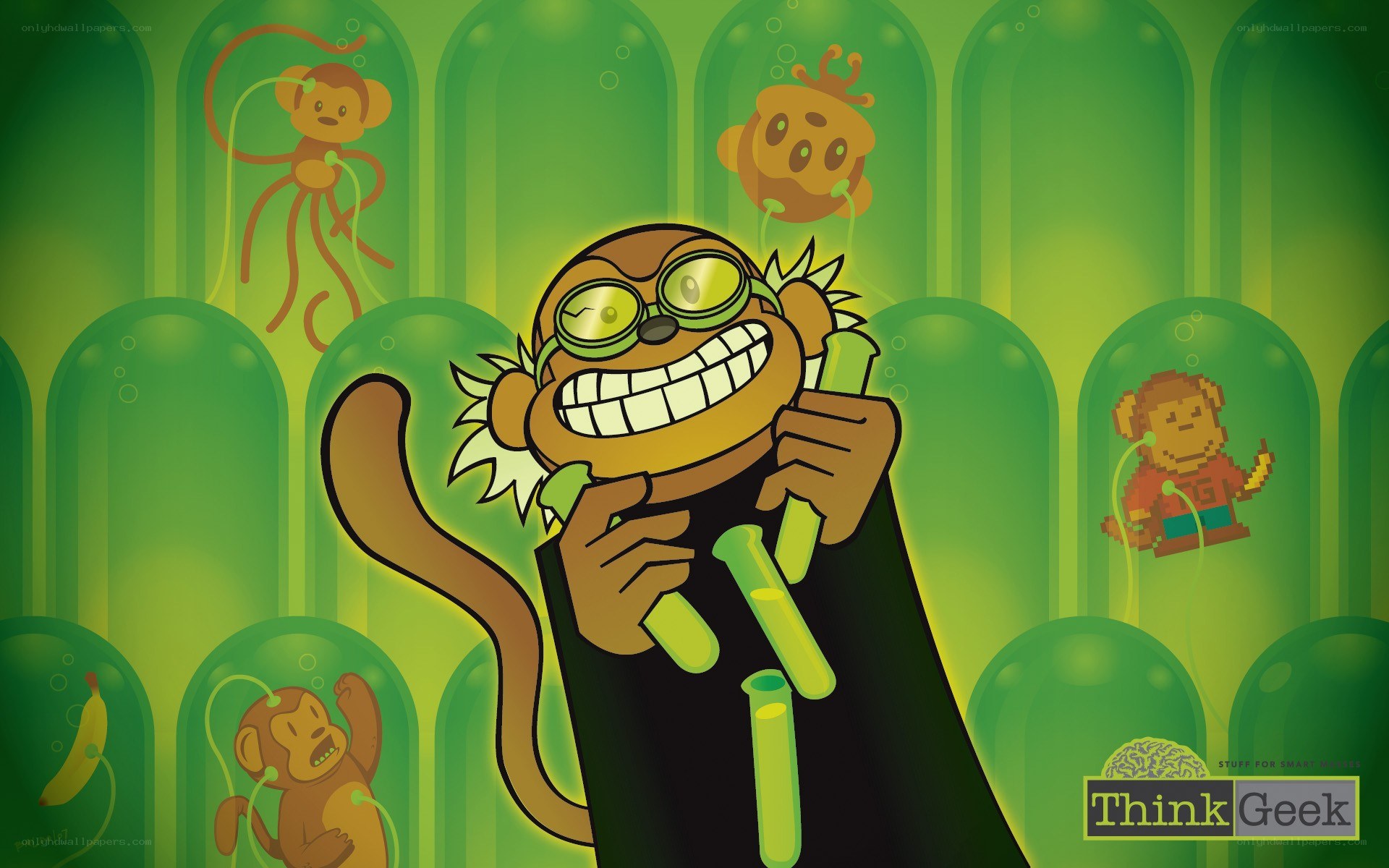 monkey scientist in lab