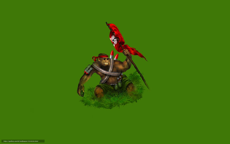 Monkey soldier with flag