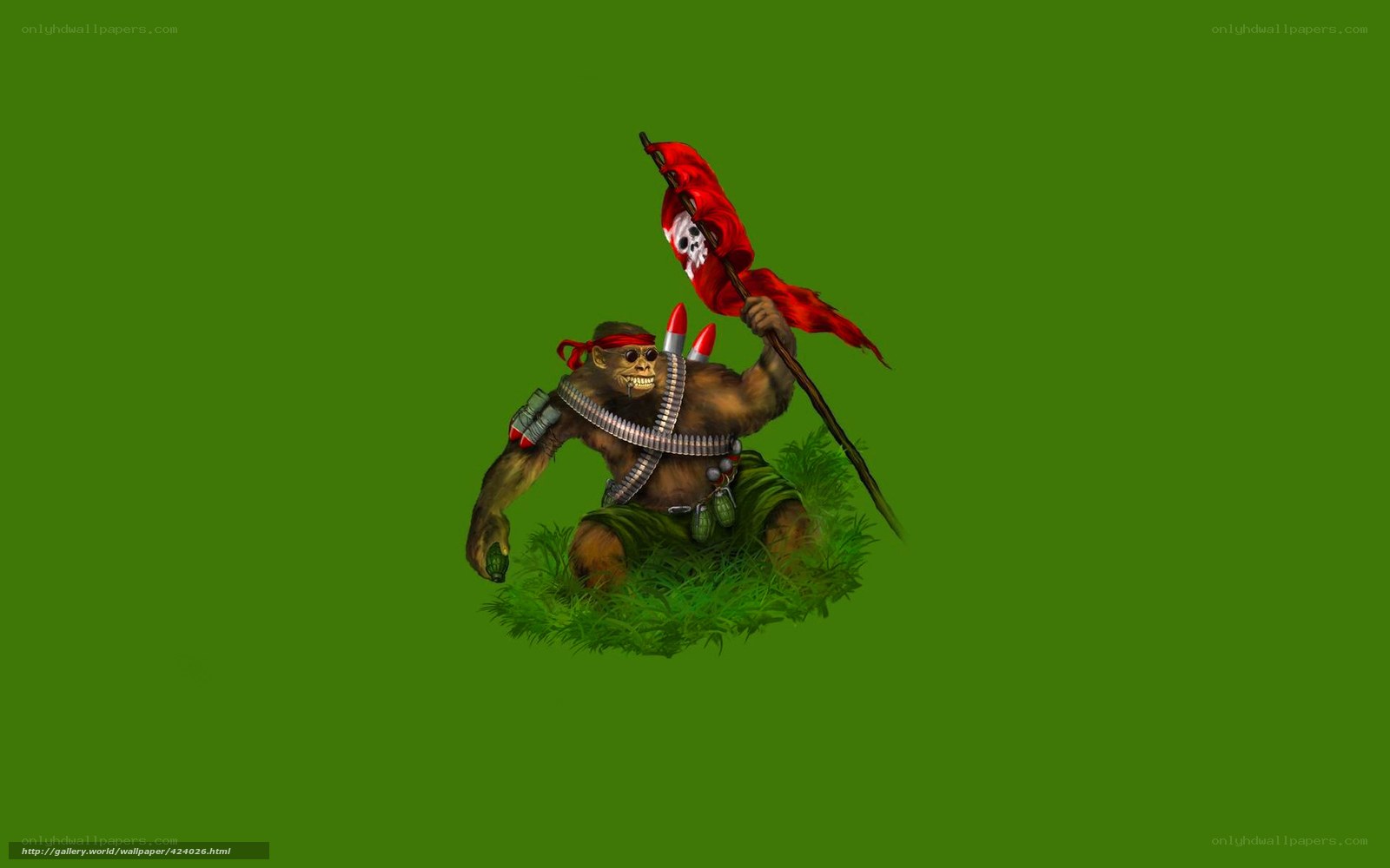Monkey soldier with flag
