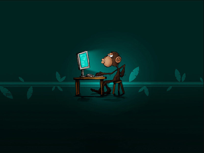 monkey using computer at night