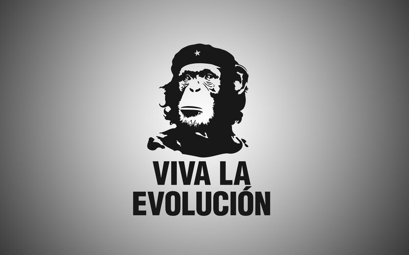 Monkey Wearing Beret