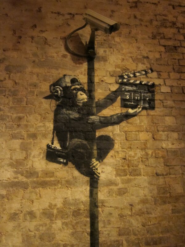 Monkey with camera and clapperboard