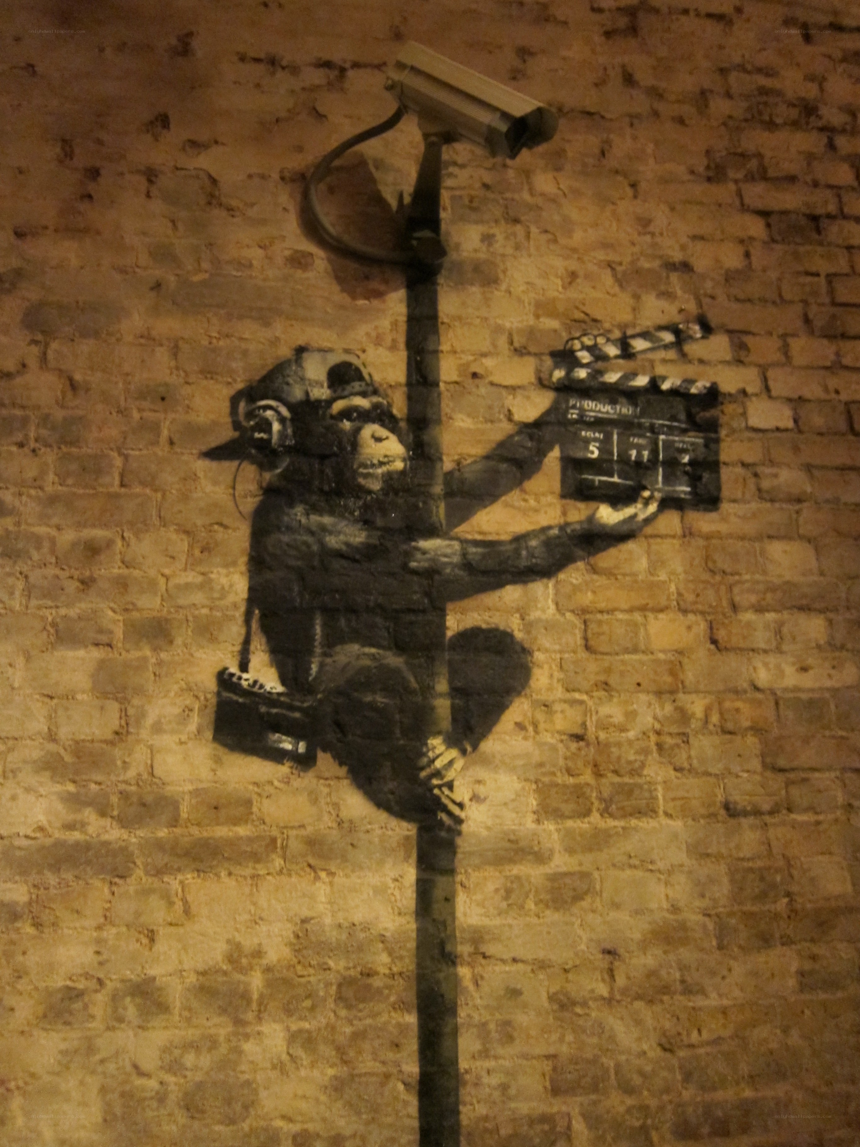 Monkey with camera and clapperboard