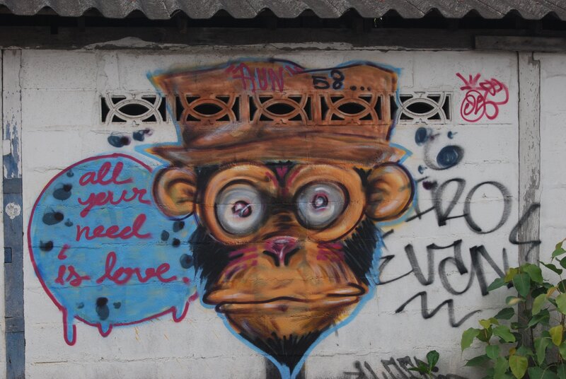 Monkey with Hat