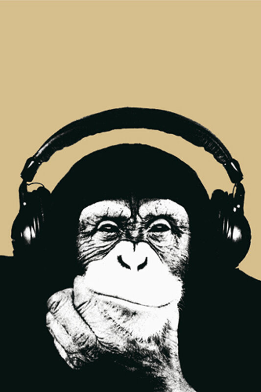 monkey with headphones