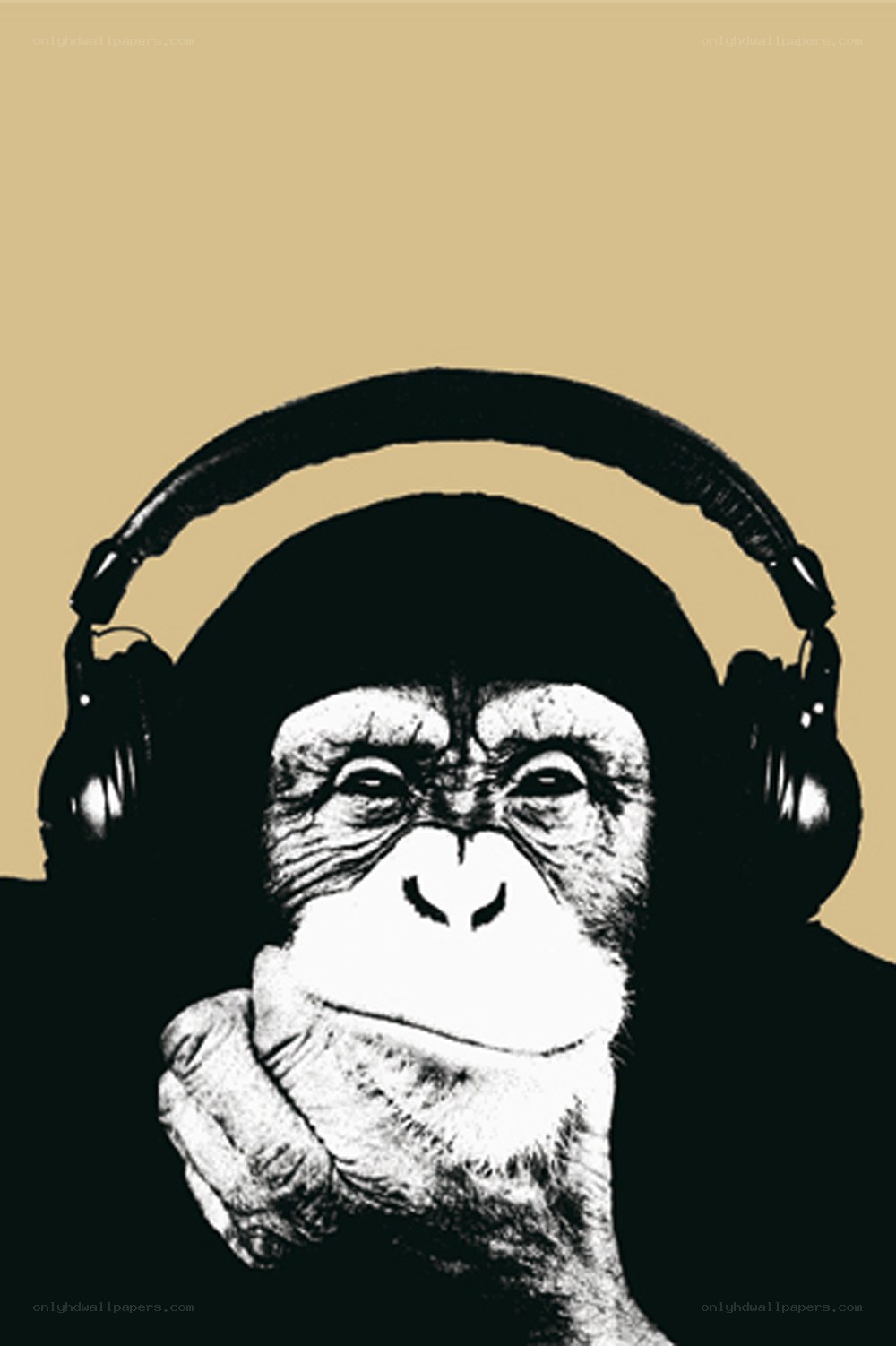 monkey with headphones