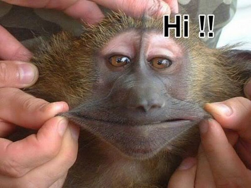 Monkey with Stretched Face