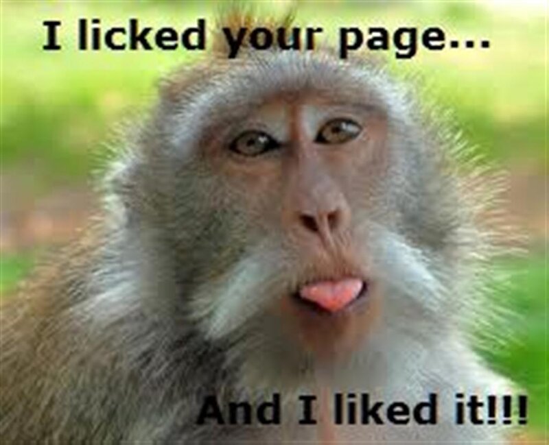 Monkey with Tongue Out
