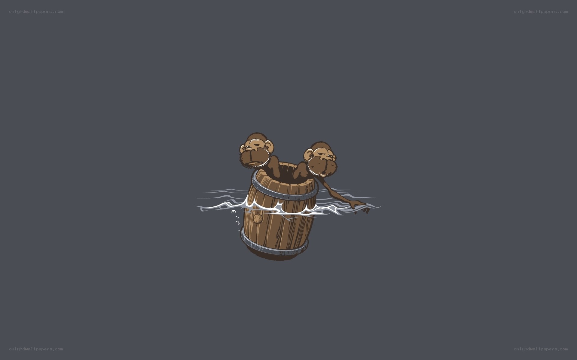 monkeys in a barrel