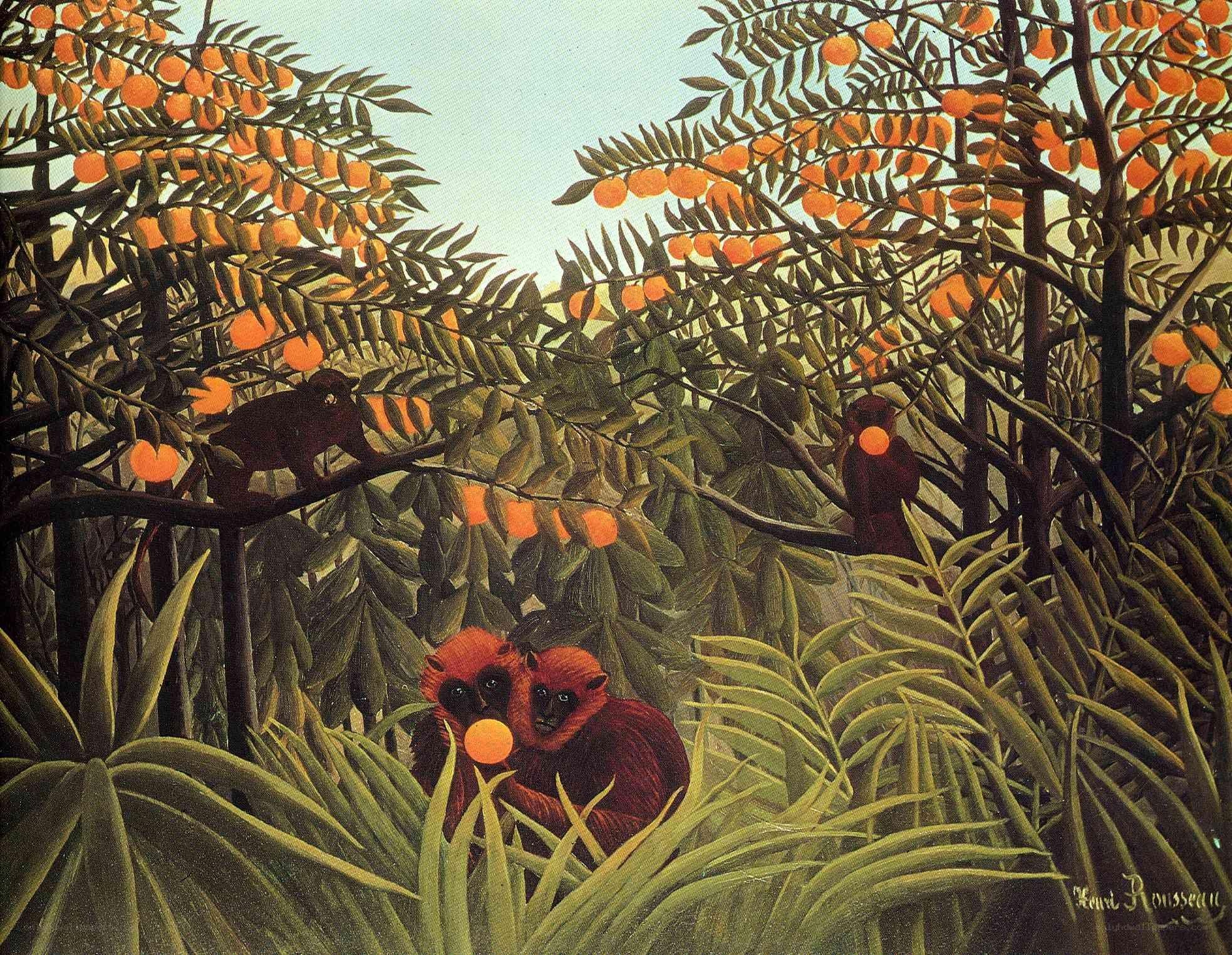Monkeys in an orange grove